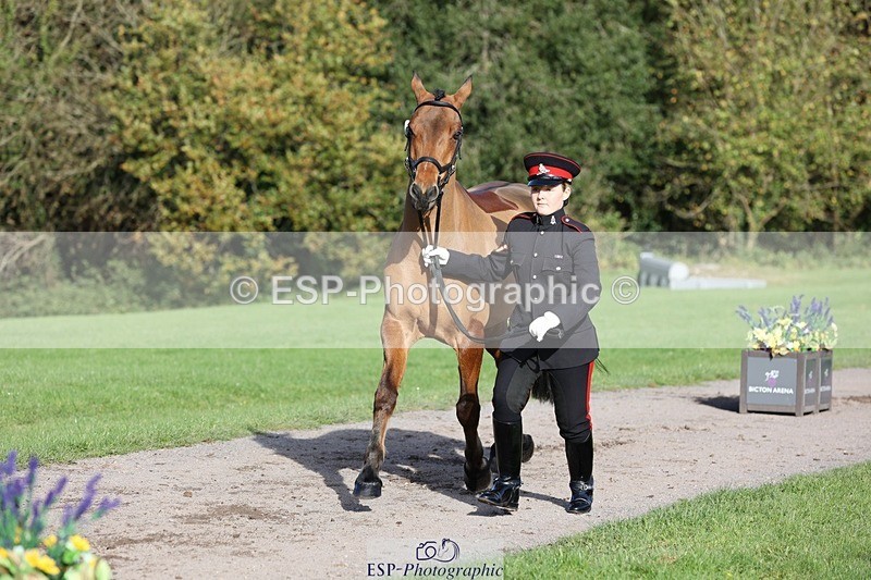 241027-101707-15788 - 516-L.Bdr.Ellie.Mitchell-MICRON.JOY