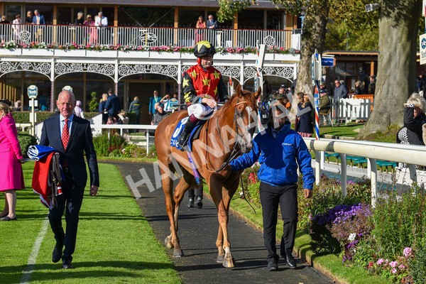 141023-Race 3-Montassib-1070 - Race 3 2.25pm Coral Sprint Trophy Handicap