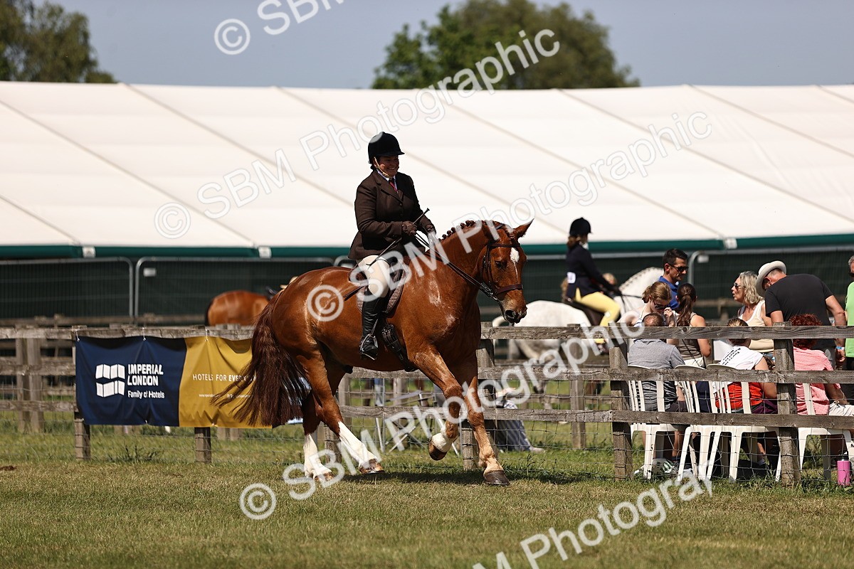 SBM_17708 - Class 81-83 - TSR Ridden Amateur of the Year - Horses
