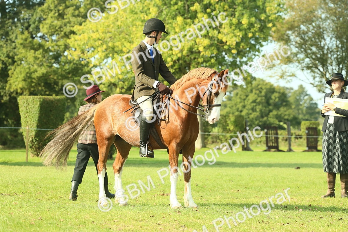 SBM_59925 - S38 - Starters Ridden Showing