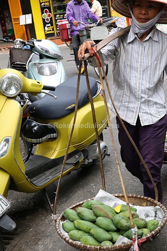 VIET_1226 - Vietnam 2017