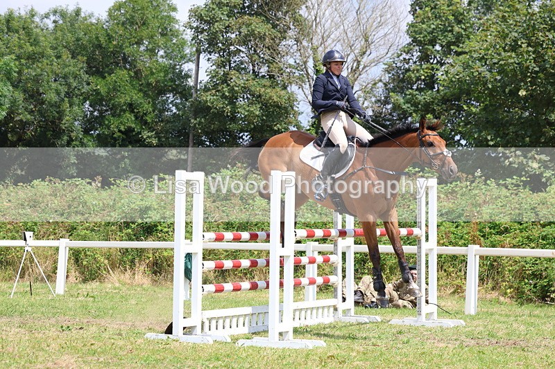 3E7A3415 - Class 10: Senior Foxhunter/1.20 open