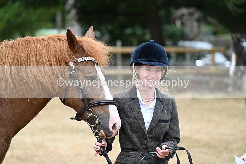 WJ7_8172 - Class 4 Prettiest Mare up to 14.2hh