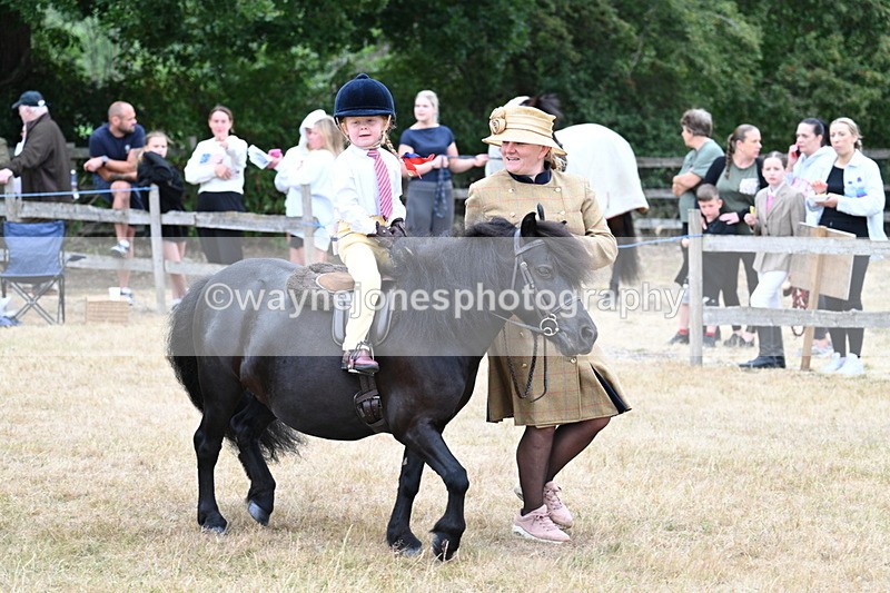 WJ7_8498 - Class 4 Prettiest Mare up to 14.2hh