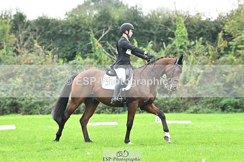 241024-144453-04357 - 584-Tommy.Greengard-I'M.ALL.IN