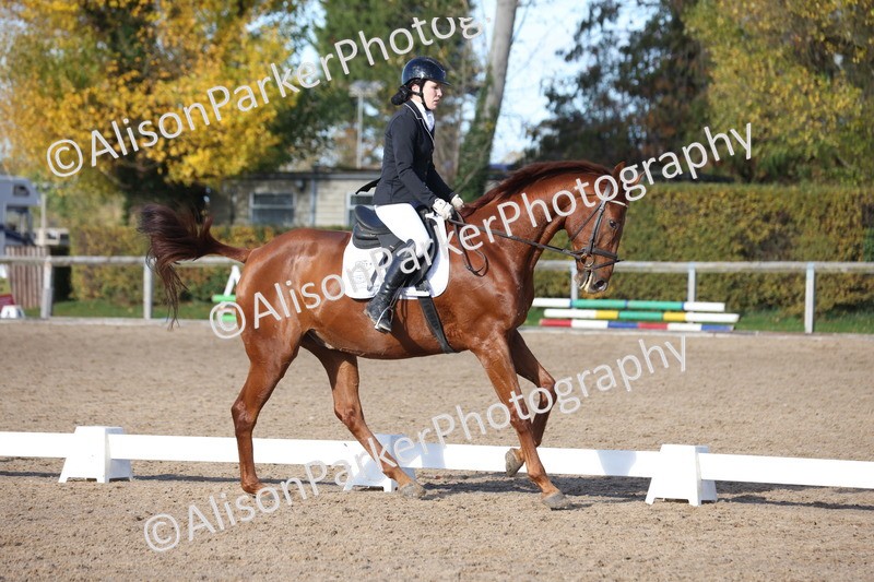 20251102-0603 - Class 4 - Novice 6