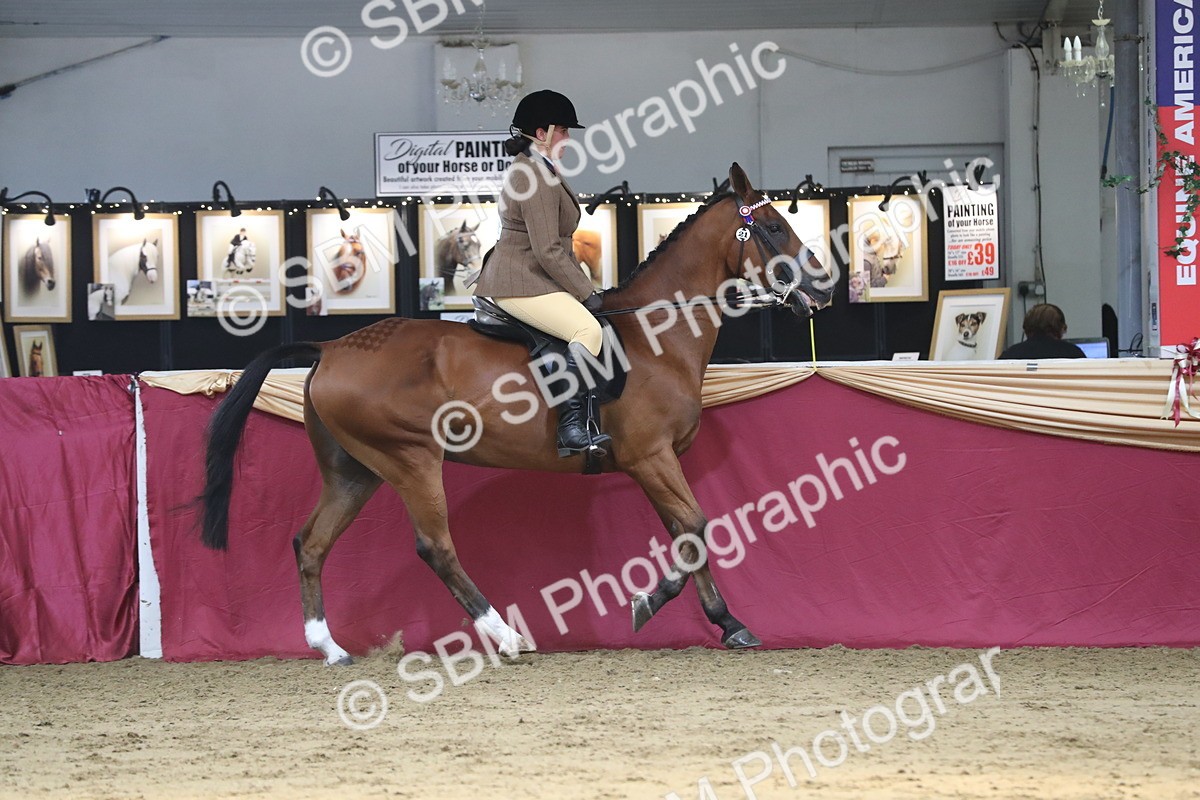 SBM_08397 - Class 11R Regional Ridden Veteran