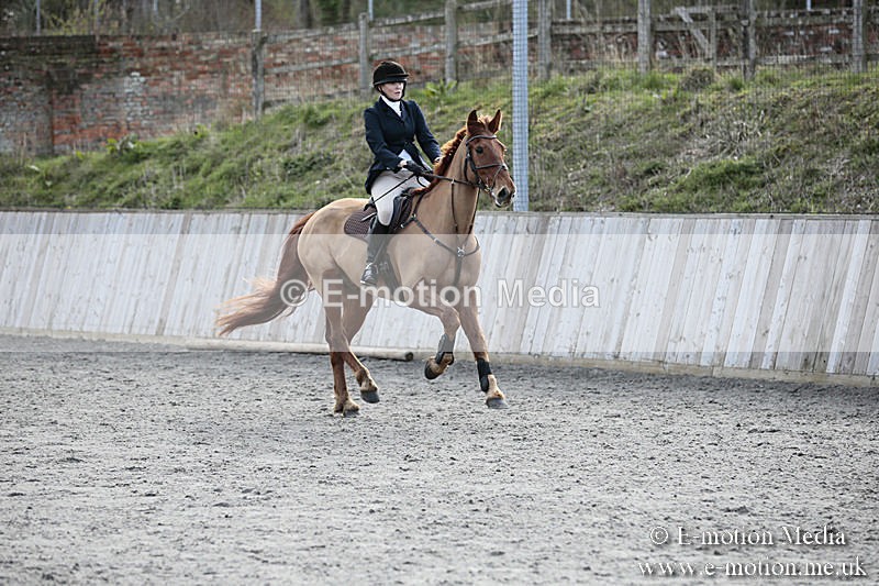 BVRC SJ 170319 802 - Bourne Valley Riding Club Showjumping 17/03/19