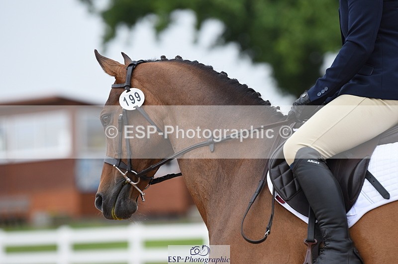 230708A-113004-01591 - Prelim 7