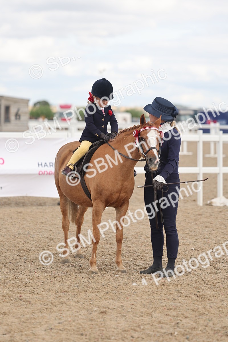 SBM_15808 - Class 309 - Lead Rein Pony