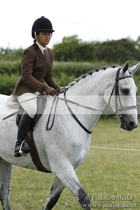 BVR160717-1773 - Ring 3 BVRC Show 16/07/17