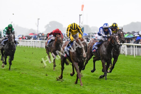 yr21082021r4-66 - Race 4 3.35pm Sky Bet Ebor