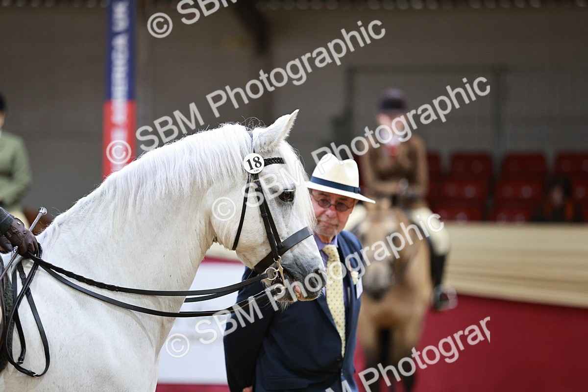 SBM_03627 - Class 6A Area Ridden Pre-Vet