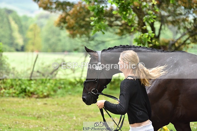 240522-163122-00975 - 209-COOLEY_DJANGO-Lottie_Royle