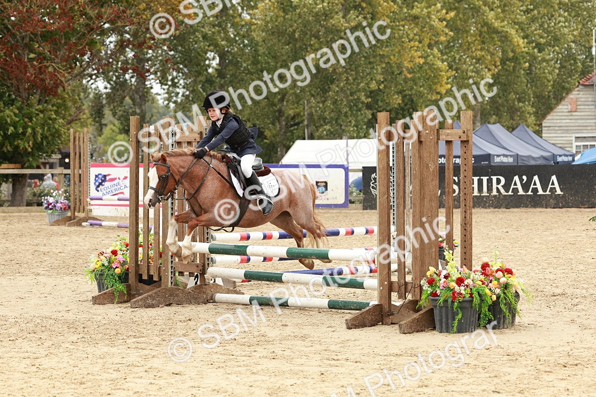 SBM_69159 - J13 - Junior Pony 60cm Championship