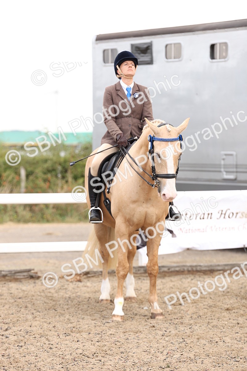 SBM_04211 - Class 54 - Riding Club Horse/Pony