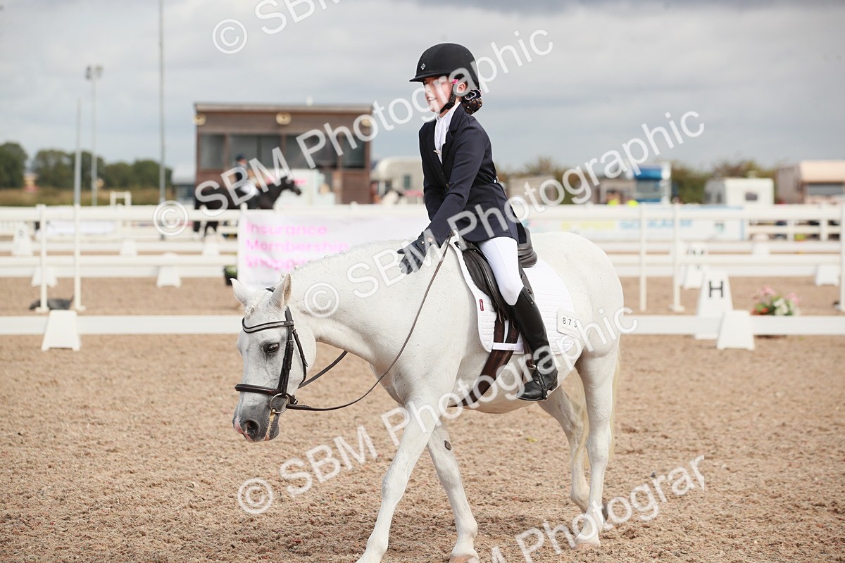 SBM_03996 - Class 31 - Prelim 1