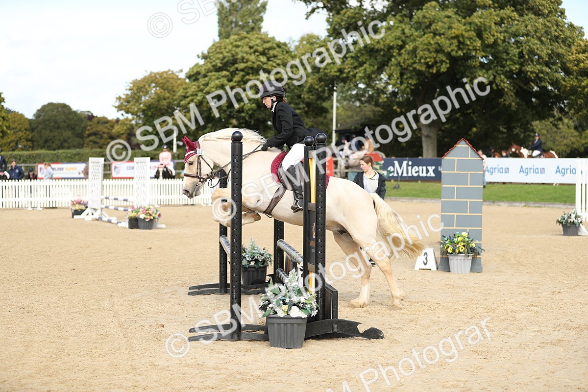 SBM_08485 - J30 - Senior Horse & Pony 70cm Championship