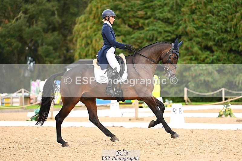 231020-162144-12232 - 338-GLOBAL.CANDY.BOY-Georgie.Campbell-DR