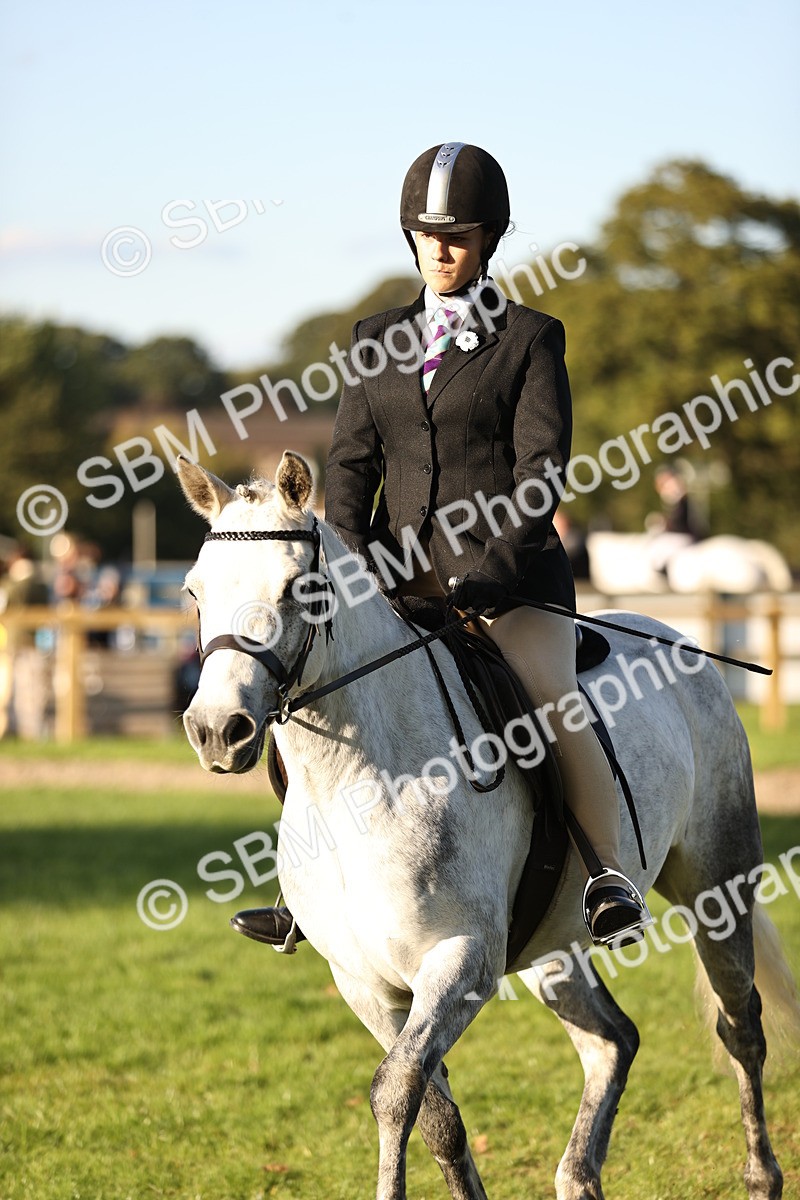 SBM_29608 - S7 - Novice & Newcomers Ridden Pony