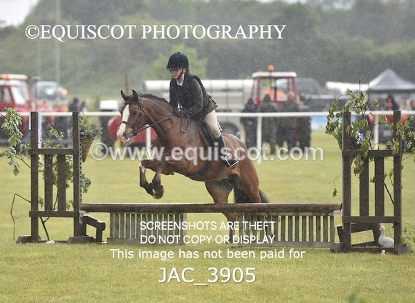 JAC_3905 - 55cm WORKING HUNTER