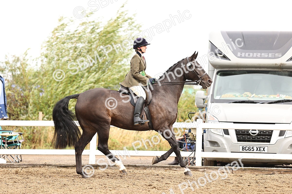 SBM_00700 - Class 53 - Ridden Competition Horse Pony