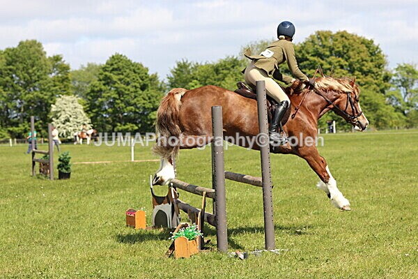 IMG_4339 - Working Hunter