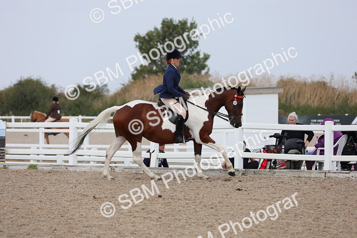 SBM_13450 - Class 308 Ridden Coloured Horse