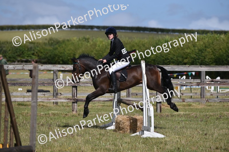 20250831-4026 - Class 12 - Working Hunter Pony 14.2hh and Under