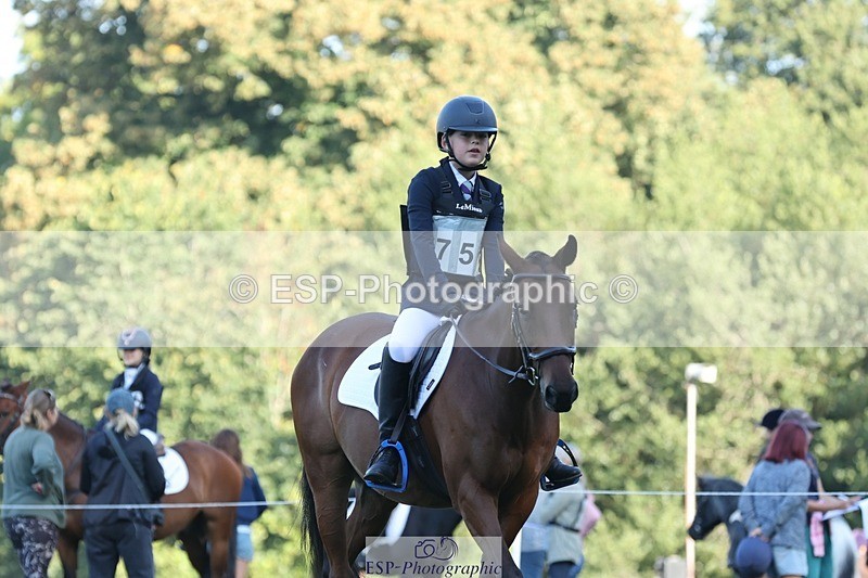 250823A-084801-25782 - Arena D