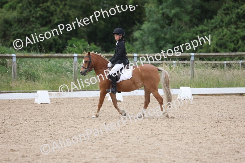 20250614-0389 - Class 4 - Novice 2