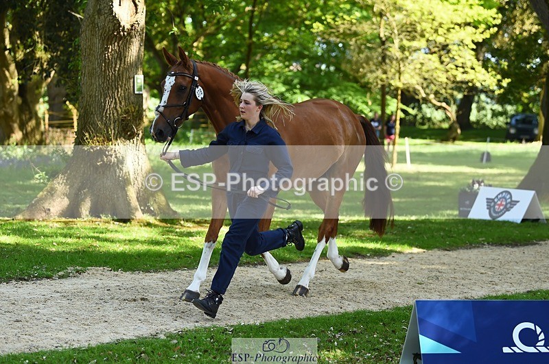 230524-154938-00527 - 378-CLASS_SPEC-Susie_Eddis-WEDTrotUp+DR