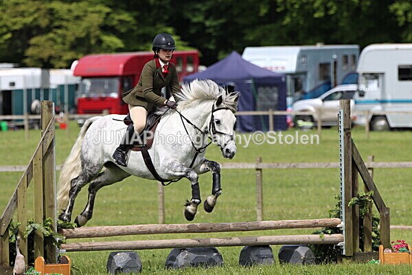 IMG_3116 - Working Hunter