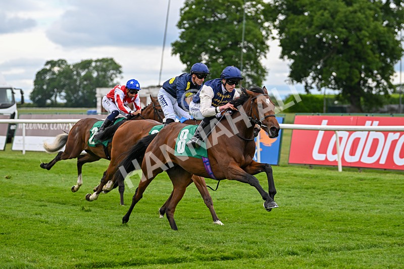 170625-Race 1-Royal Fixation-4349 - Race 1