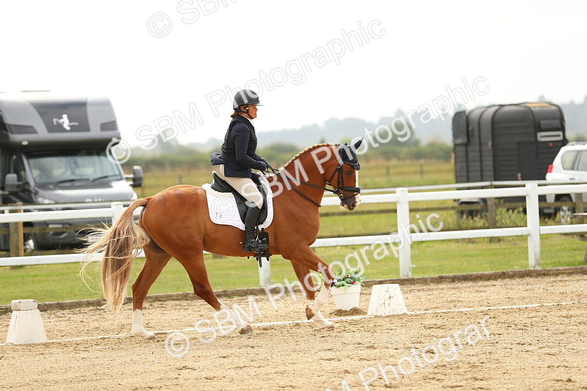 SBM_017704 - Class 13 - Novice 23 - 14.27-15.16