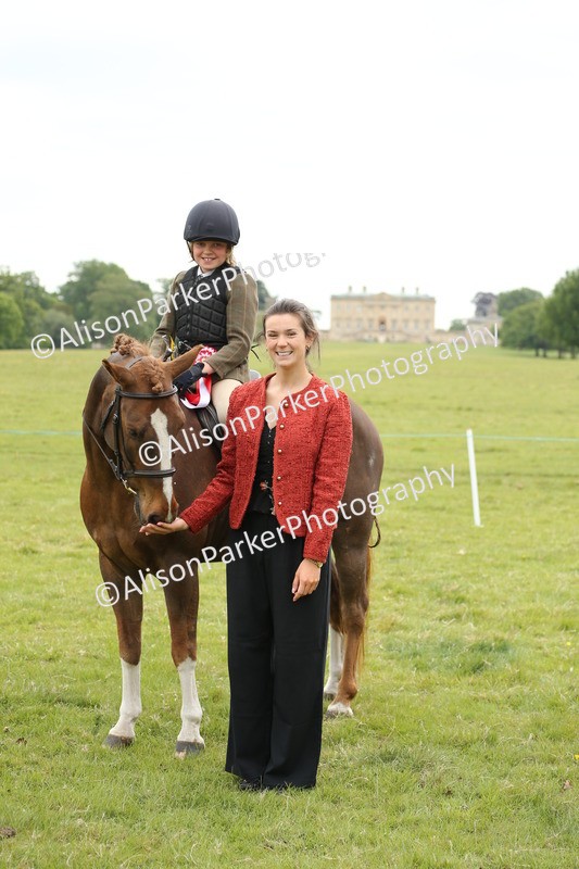 20250517-1212 - Class 21 - Novice Working Hunter