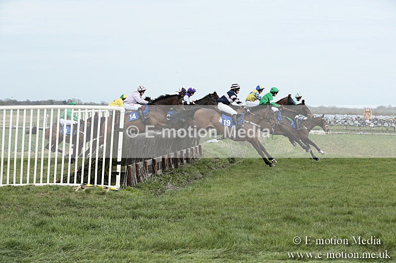 PtP 230319 156 - VWH Hunt Siddington Point-to-Point Racing 23/03/19