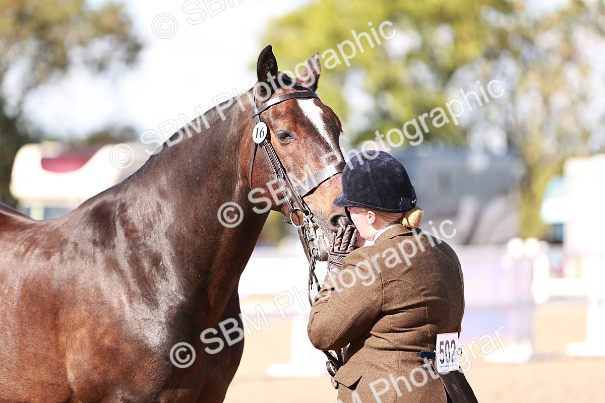 SBM_13237 - Class 405 - IH Show Cob