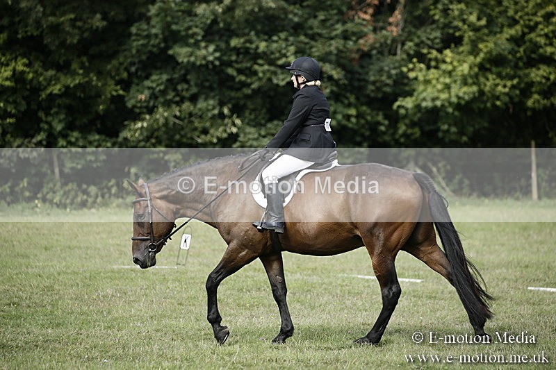 BVR090918 156 - BVRC Dressage and Show Jumping 09/09/18