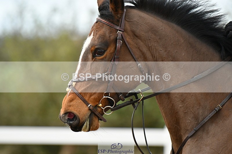 240317A-113853-05996 - Cls 32 95cm National Amateur Quali