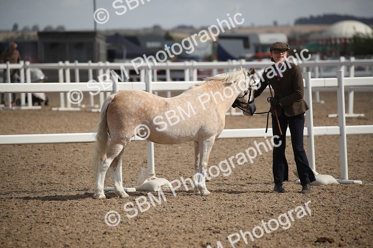 SBM_23392 - Class 604 - 2026 - Area IH Diamond