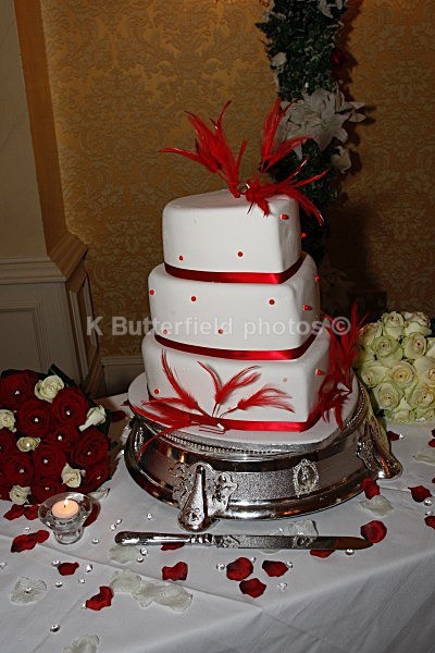 251 - Sarah and Clive Wedding