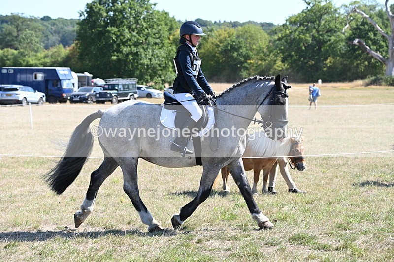 WJ6_8299 - Class 37a Best Loan Pony Ridden