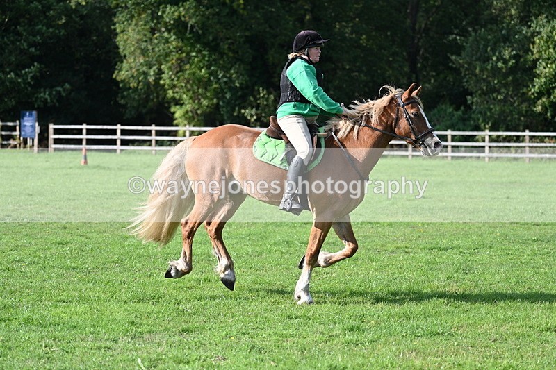 WJ7_3481 - 40cm Time 10:08 to 10:25