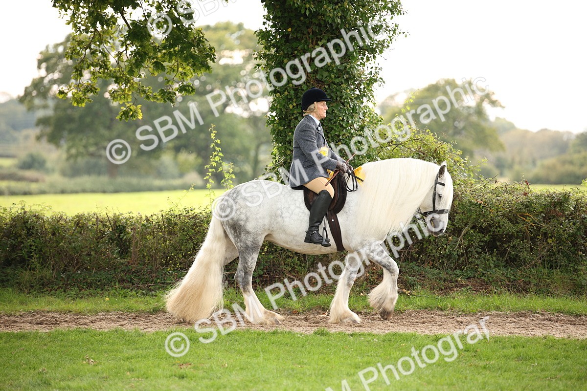 SBM_73614 - Ridden Horse Supreme Championship