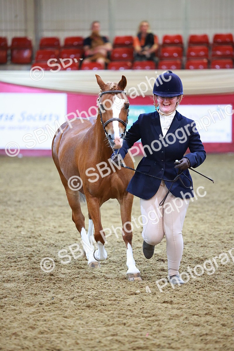 SBM_14913 - Class F - IH Small Champ