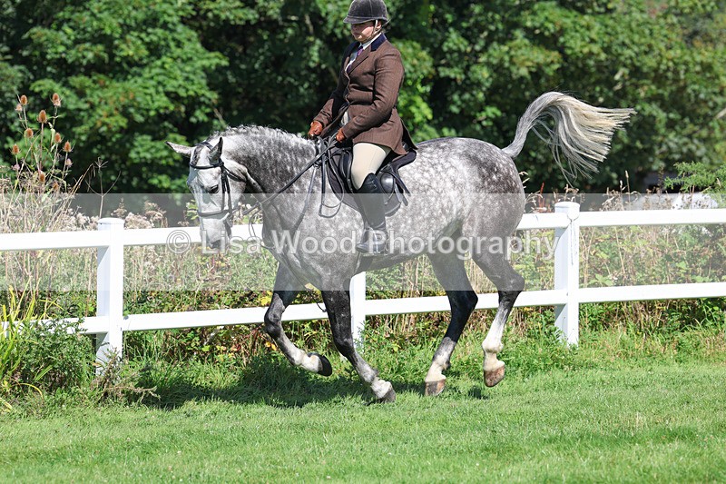 3E7A8387 - Class 4: Novice working Hunter