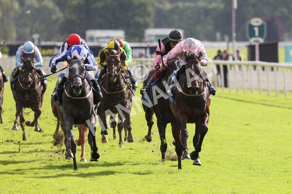 yr24092021r4-19 - Race 4 3.15pm William Hill Play Responsibly British EBF Restricted Novice Stakes