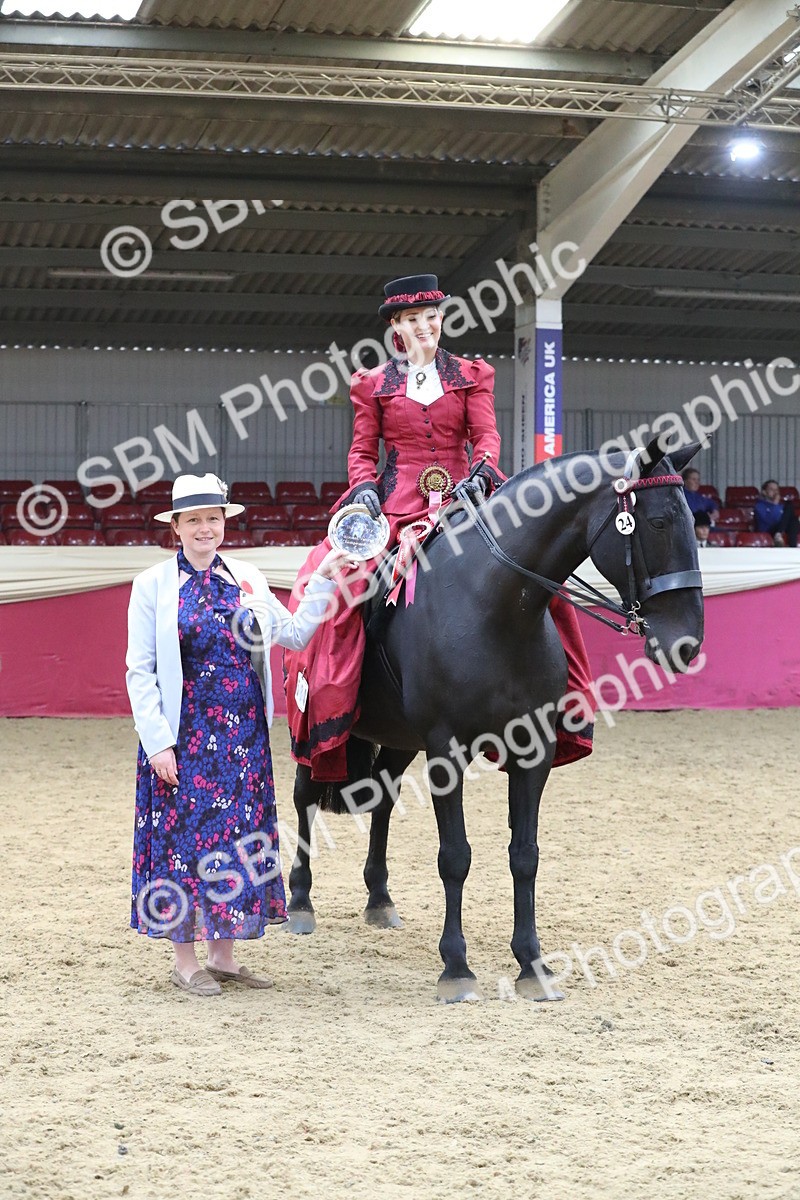 SBM_12185 - Class 107 Ridden Costume- Astride Adult (20+)