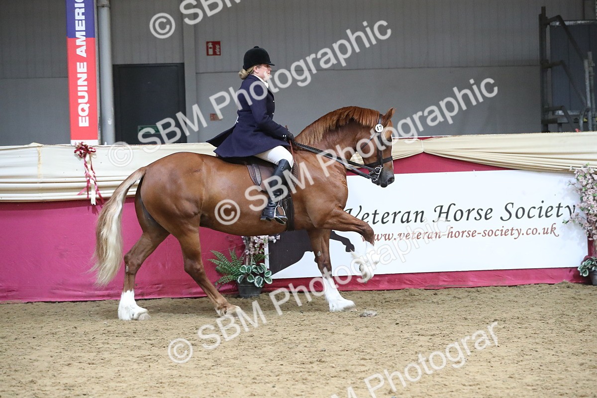 SBM_17194 - M&M Supreme Final Champ